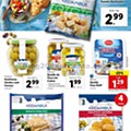 Antevisão Folheto LIDL Promoções de 17 a 23 fevereiro p20.jpg